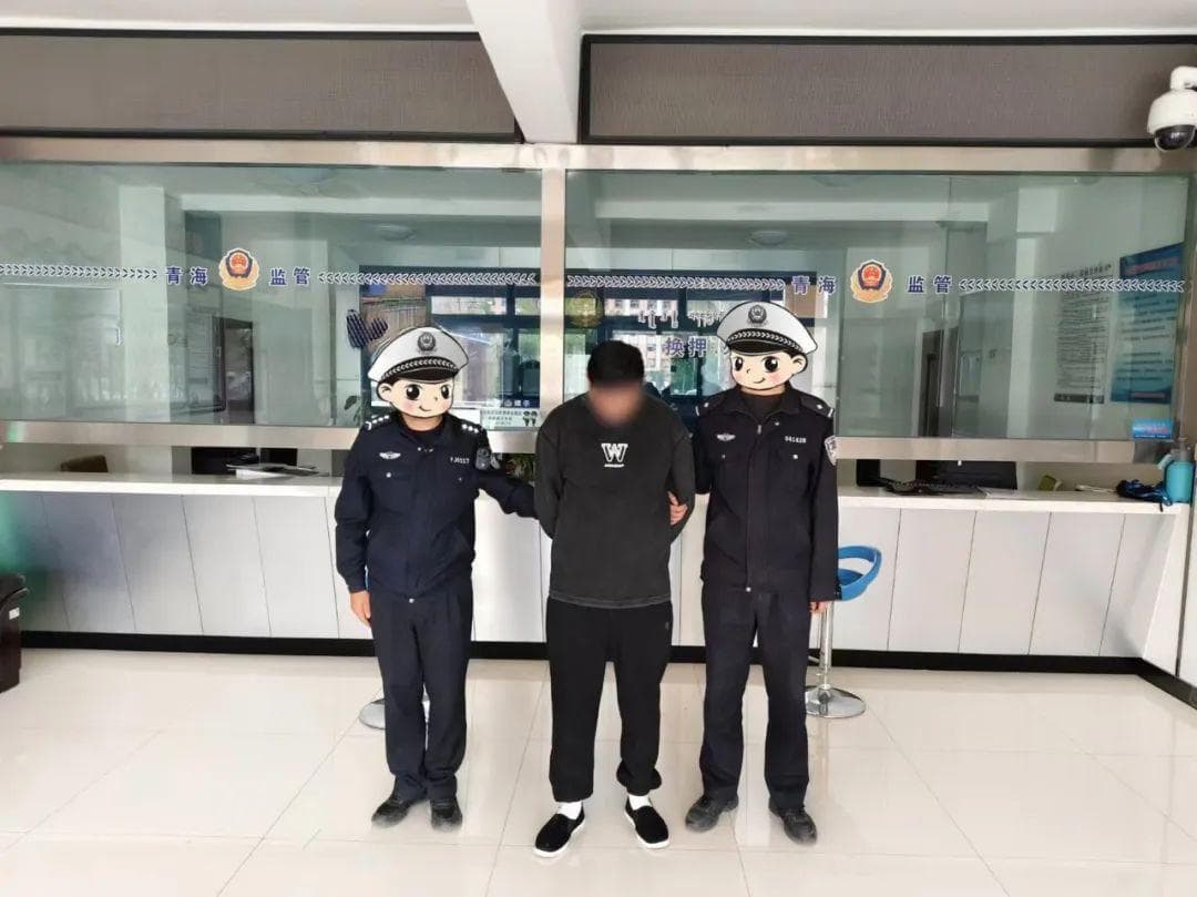 无证驾驶被罚，行驶证补办攻略来了！