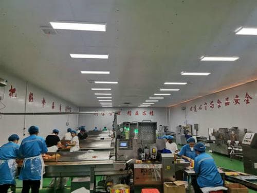 河北省磁县路村营乡：产业赋能，绘就乡村振兴新画卷