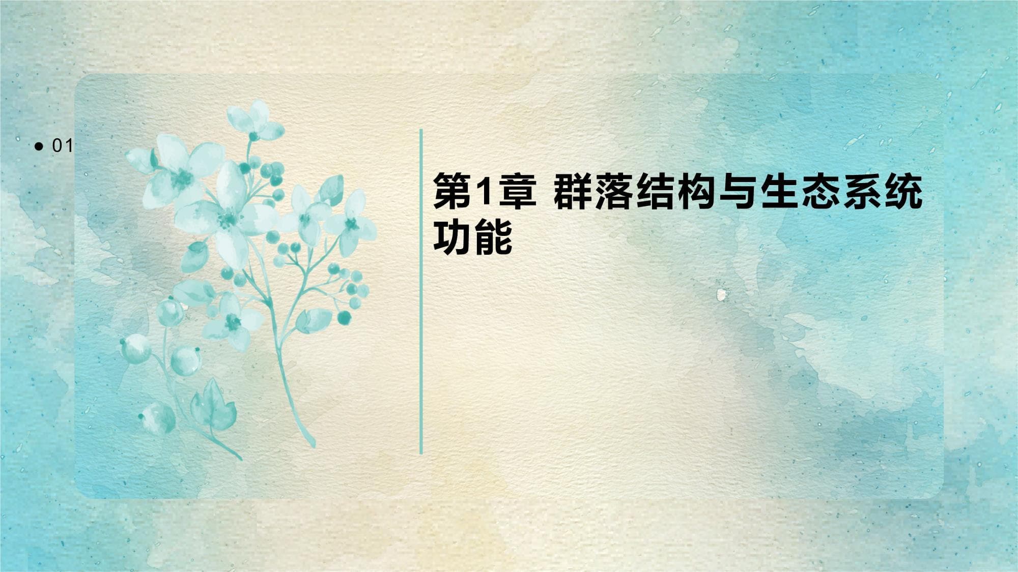 群落结构与生态系统功能