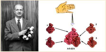 围绕DNA分子双螺旋结构模型的建立展开的一场激烈竞争