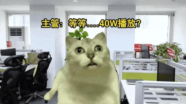 “00后”接管官方账号发它爆火！小猫对话为何让人如此“上头”?