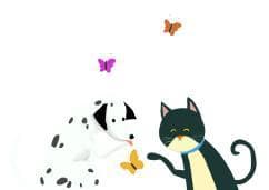 被猫狗咬伤后怎么办？狂犬病疫苗接种全攻略