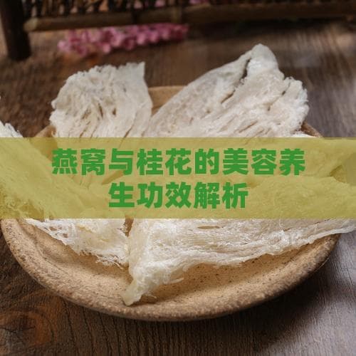 燕窝与桂花的美容养生功效解析