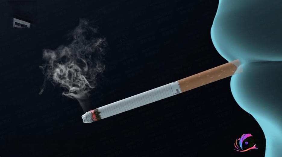 常吃用酵母发酵的馒头、面包真的会伤胃吗？真相在这里！