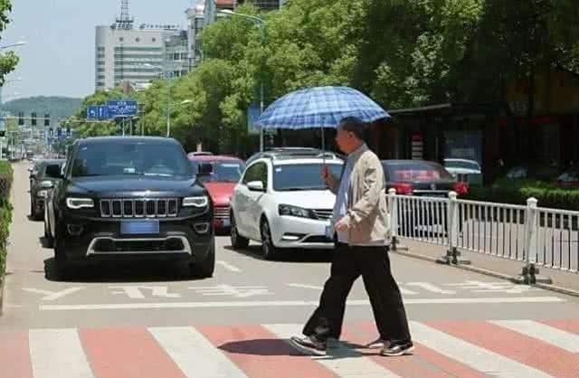 “礼让行人”新增一条规定，压线记3分，车主气得想骂人