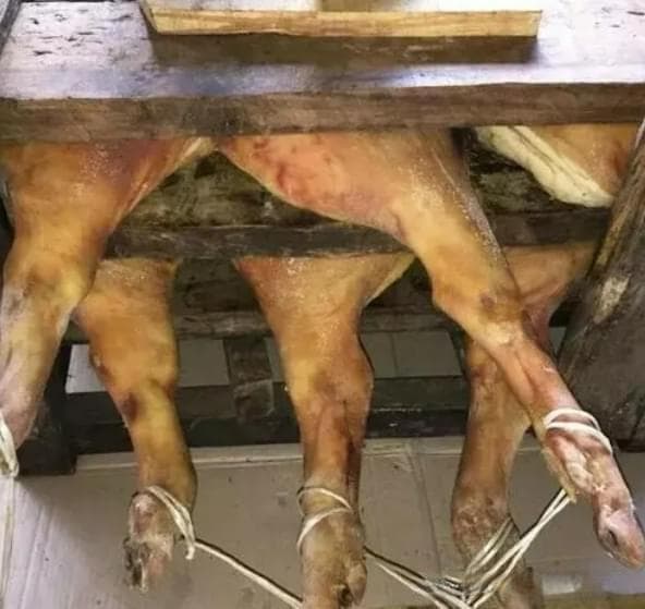 火腿和猪肉的区别：从原料到营养价值的全面解析