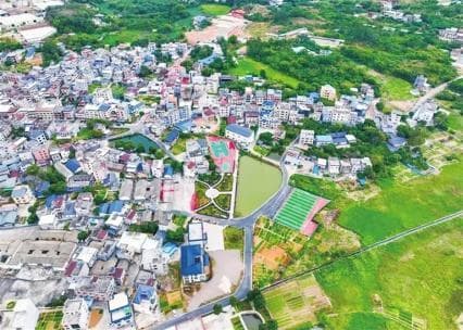 广东源南镇：发挥地域优势，做强特色经济