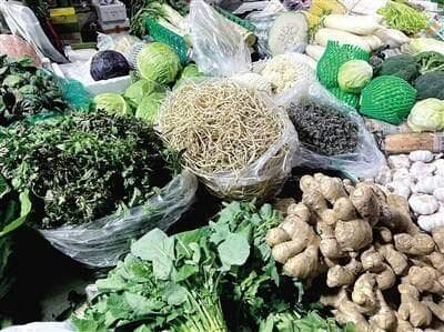 又到了开春尝鲜季 挖野菜攻略请收藏
