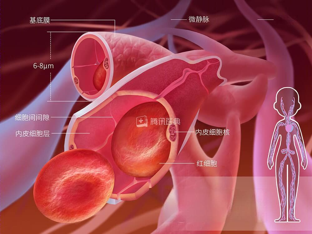 身上长了这几种小红点，要抓紧就医