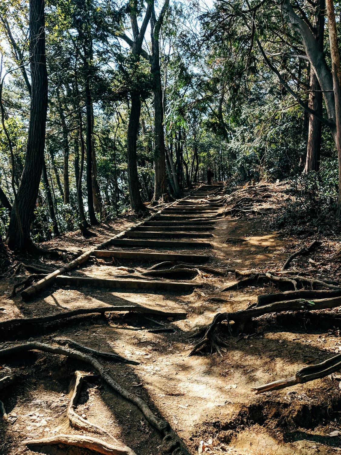 苏州最新山地森林步道攻略：35条路线详解，赏枫、徒步、泡温泉全都有！