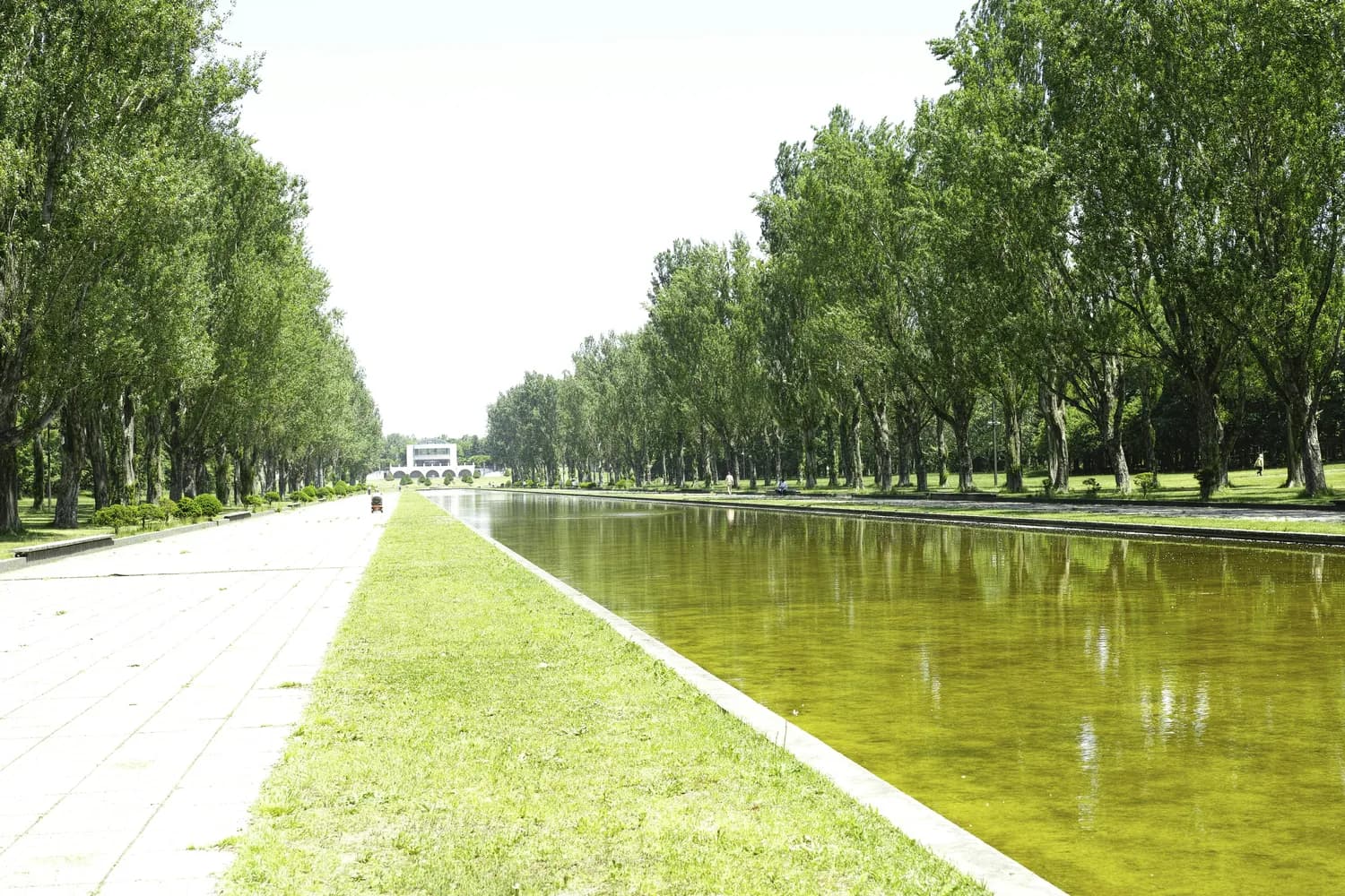 济南“第四大名胜”：小清河生态廊道的自然景观设计