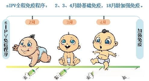 IPV和OPV，孰优孰劣、如何选择？