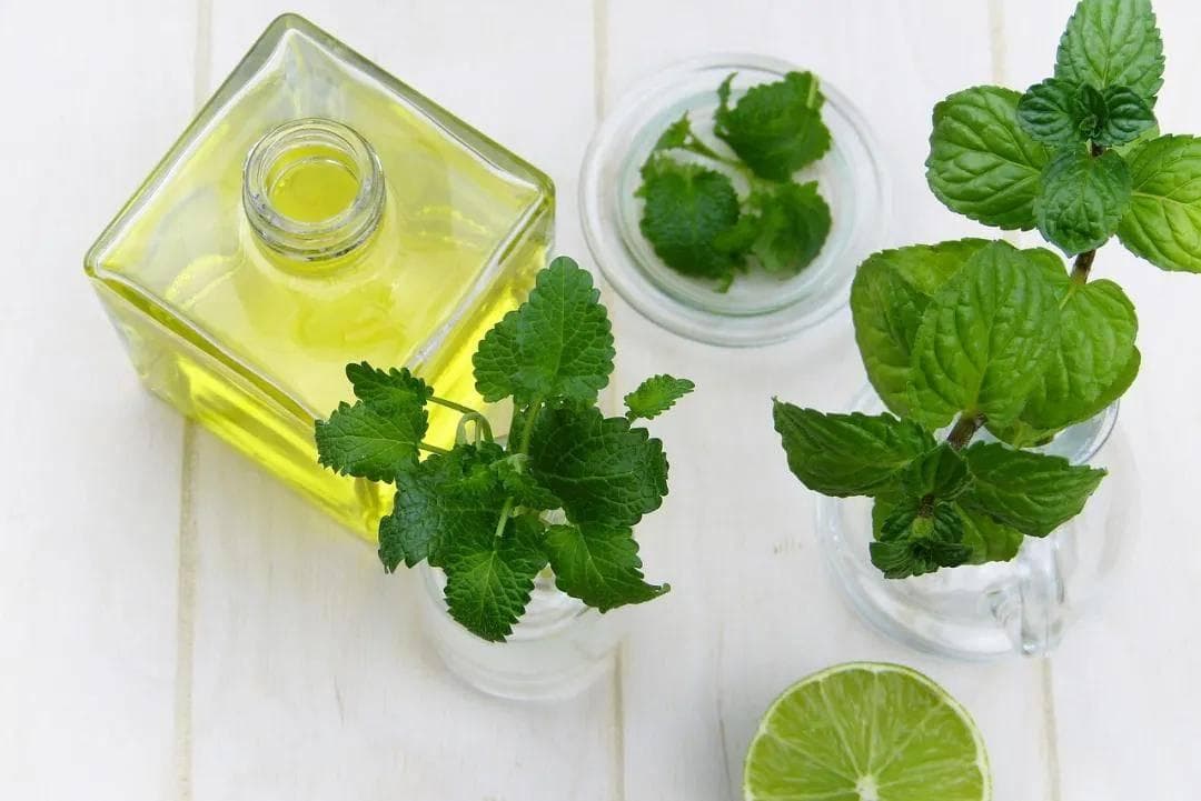 薄荷精油的25种用途