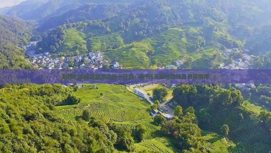 到四川攀枝花旅游攻略：春节5天更佳路线及费用指南