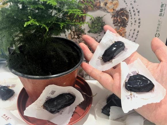 中药调节情绪的奥秘：坏脾气如何变温和？