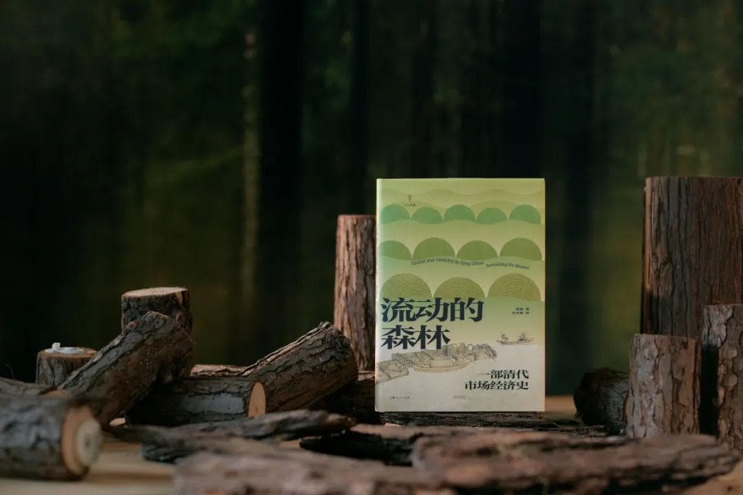 明清木材盛世：从《大明王朝1566》皇木采办说起