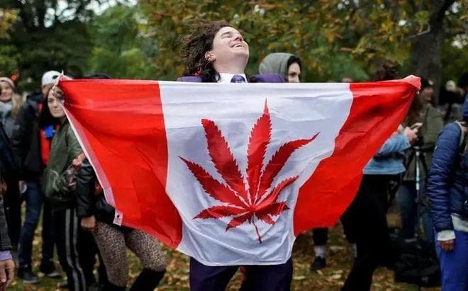 加拿大大麻合法化六周年：机遇与挑战并存