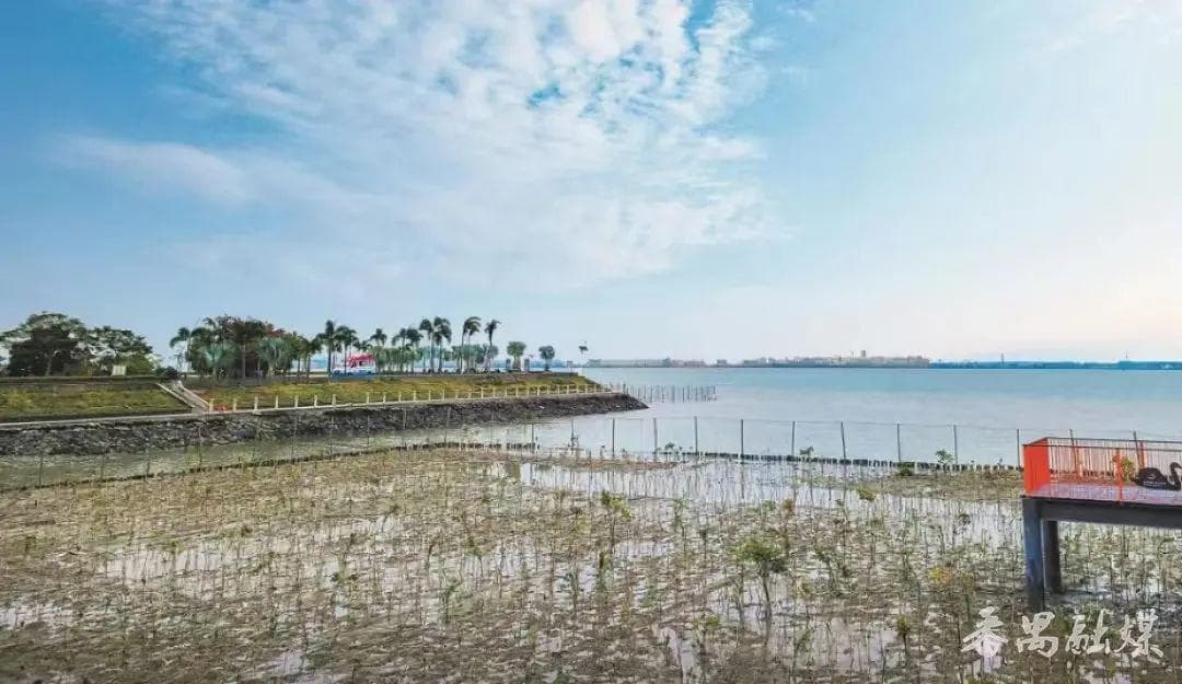 番禺海鸥岛：生态修复与旅游发展并举，打造海岛旅游胜地