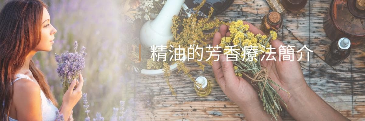 【芳療師推薦】2024全新15大必備精油香氣排行，讓你的生活充滿療癒與活力
