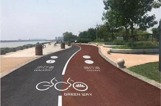 “一条路”串起“一片绿”！中新生态城打造“全域花园城市”
