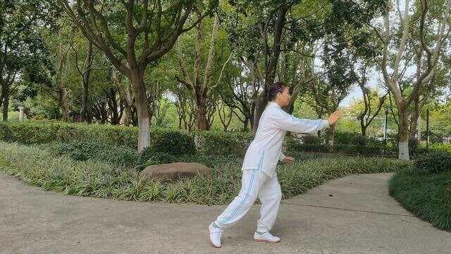 由技入道：探寻太极拳修炼的境界之路
