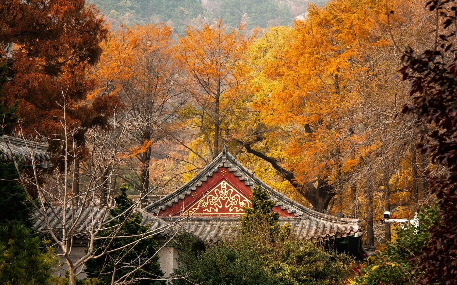 秋游千山龙泉寺：千年古刹邂逅五彩斑斓