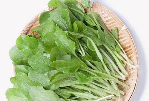 小白菜的冷冻保存方法（从选购到保存全面解析，附小贴士）