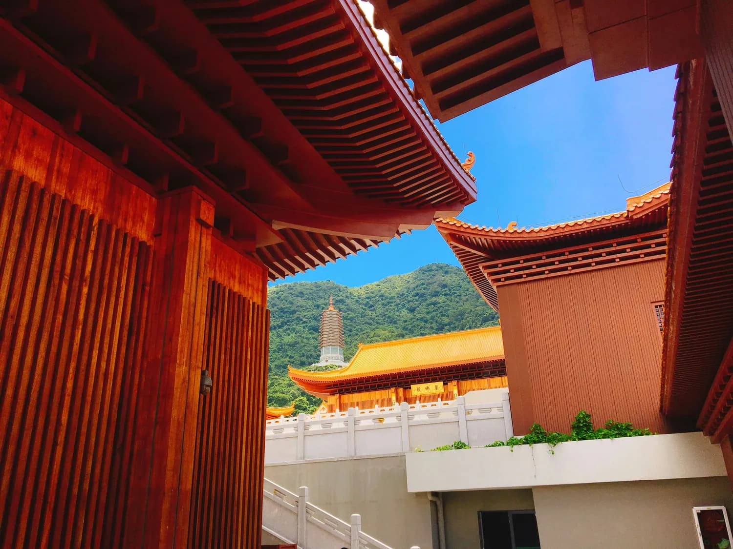 雪窦山弥勒圣坛闭园真相：提升改造后全新亮相