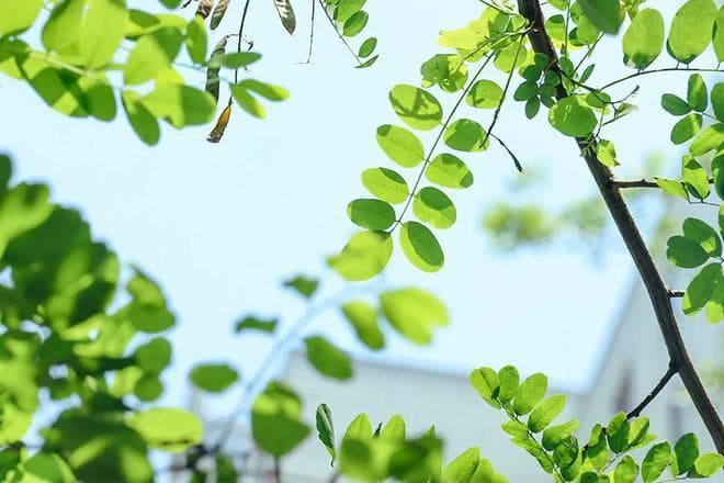 【心理健康】如何塑造更好的自己