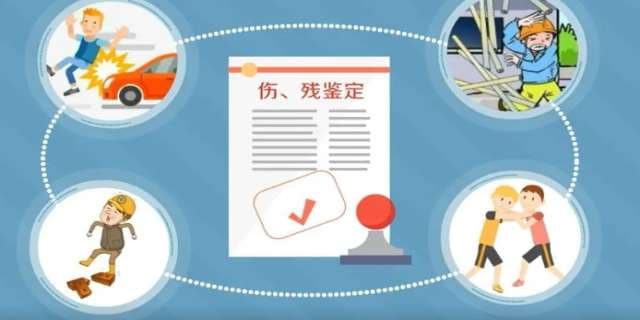 【交通事故伤残鉴定】2024交通事故伤残鉴定标准及赔偿