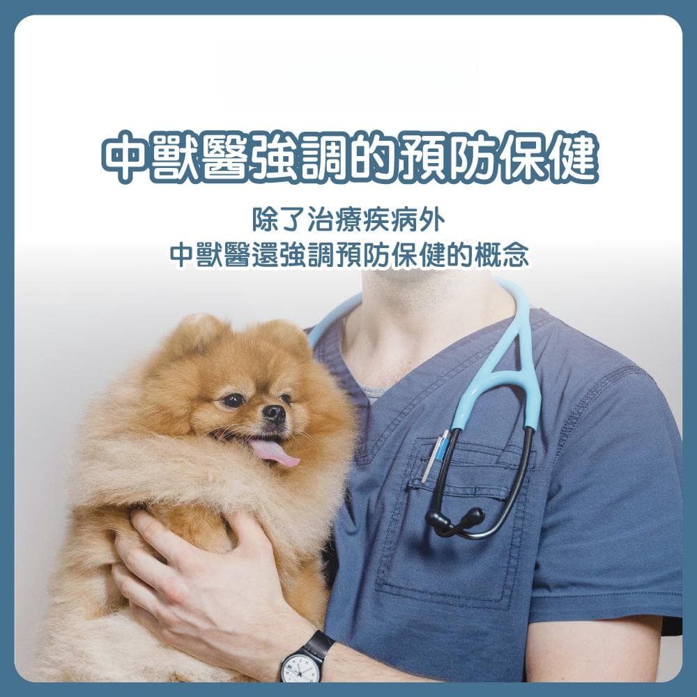 中獸醫：寵物健康的新選擇—讓毛小孩的健康得到全方位照護