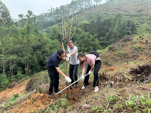 高明：植绿添富，聚力凝心