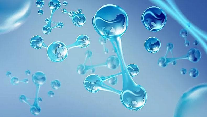 深入解析：细胞迁移与伤口愈合的生物机制及其重要性