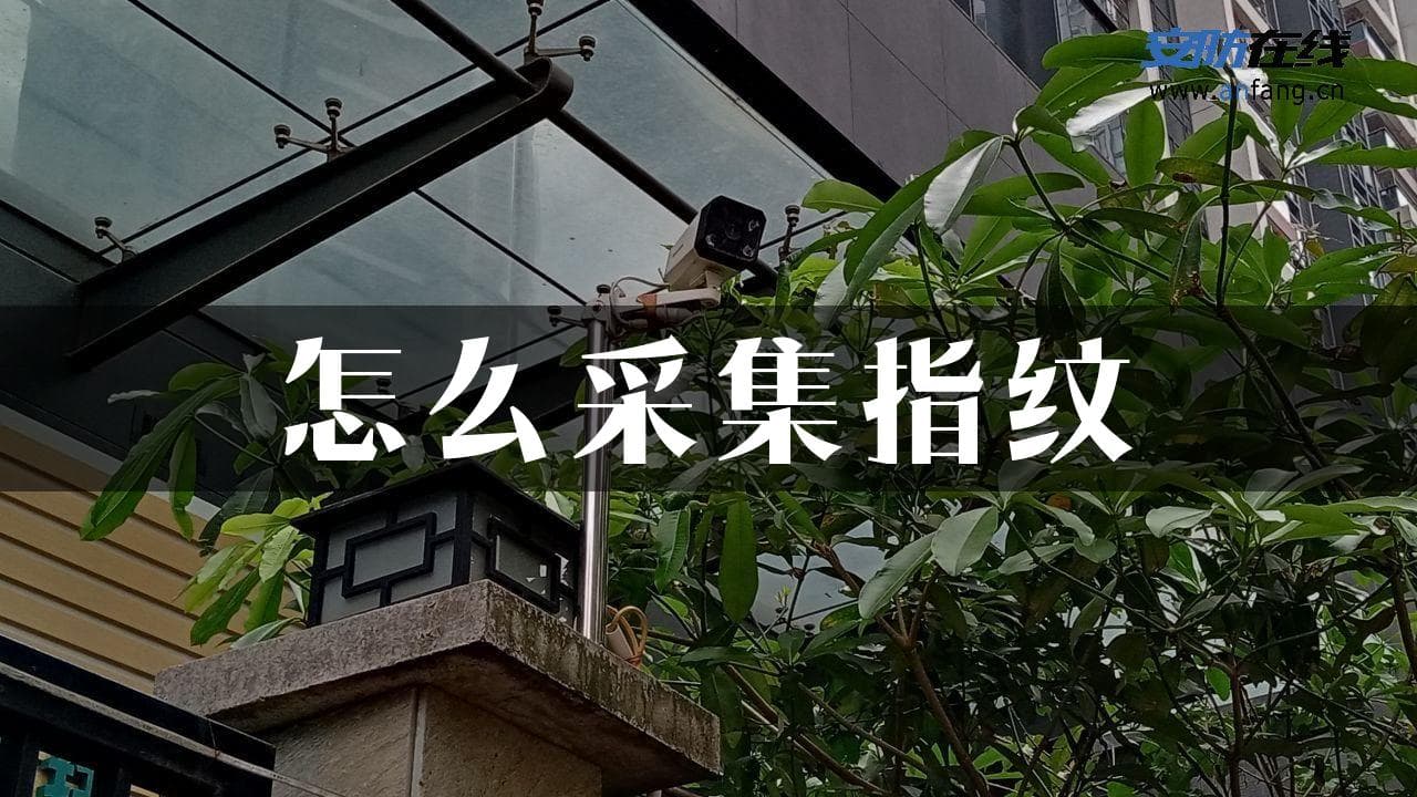 指纹采集步骤详解：从准备工作到注意事项