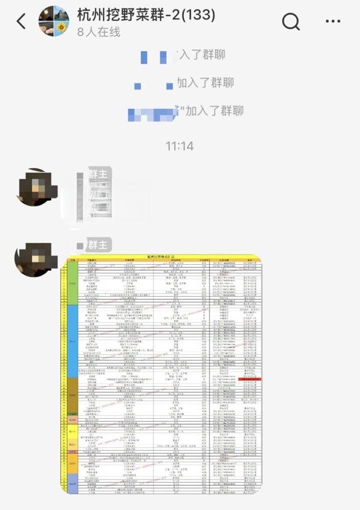 杭州野菜采摘攻略：从热门打卡地到安全食用指南