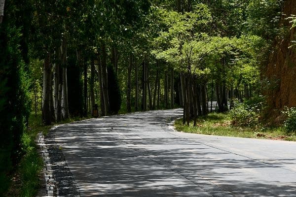 2024年广西三月三是几月几号？这些民俗活动你知道吗