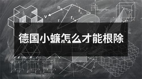德国小蠊怎么才能根除