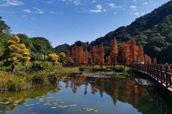 石门森林公园自驾攻略：9城路线与最新政策全解析