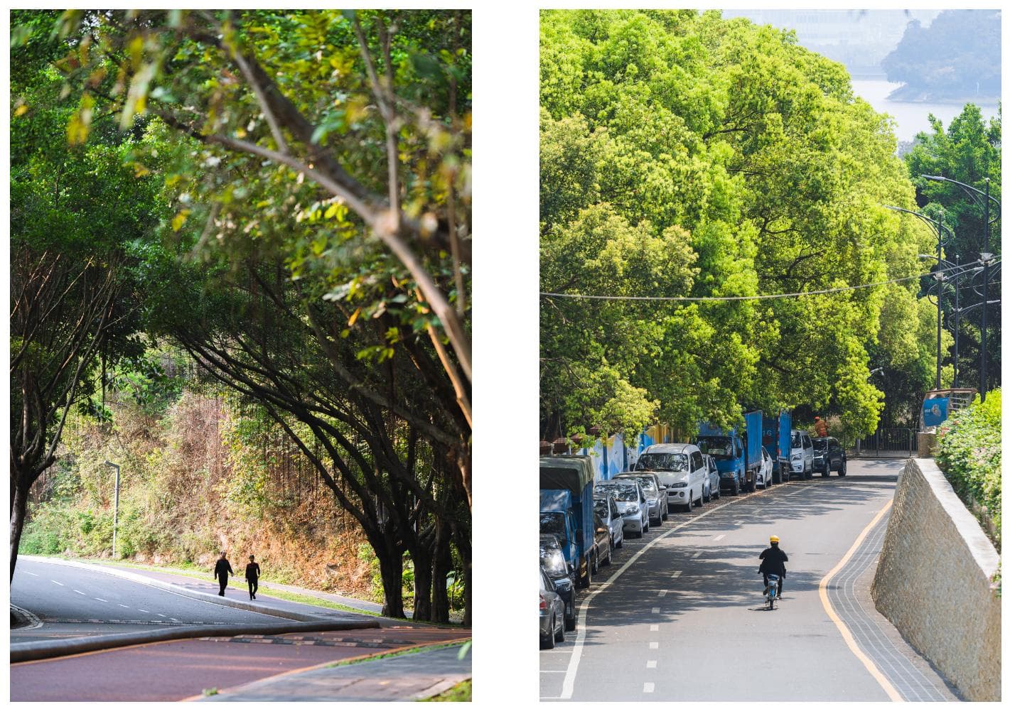 Cityride去哪里？深圳3406公里绿道等你来追风！