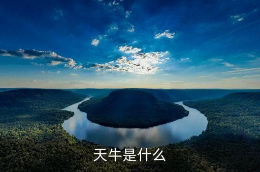 天牛，什么是天牛