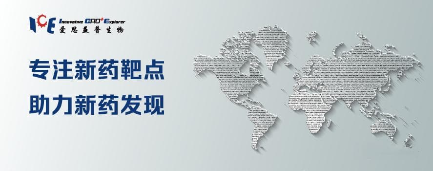 PRMT5/MTAP合成致死靶点研究进展：肿瘤靶向治疗新突破