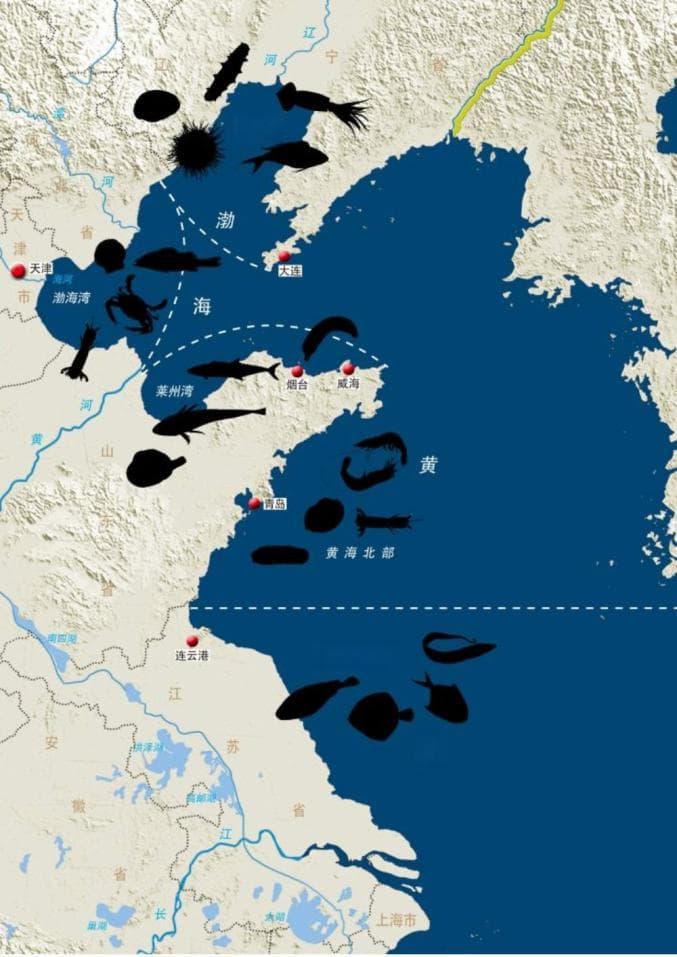 四大海鲜流派比拼 为何渤海派最受吃货追捧？