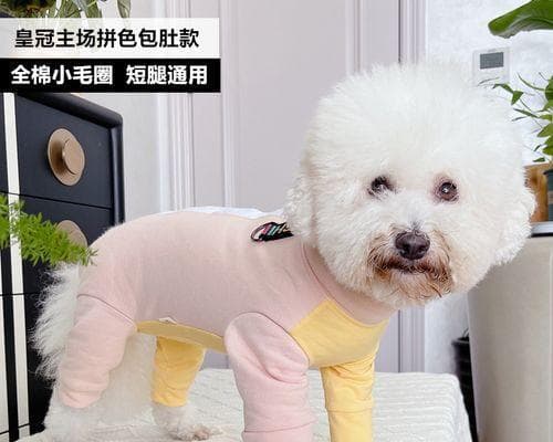 雪拉瑞狗狗的特点和饲养技巧：一只可爱又活泼的宠物