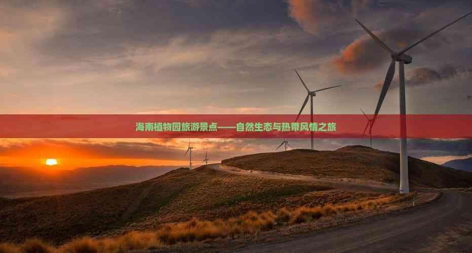 海南植物园：热带雨林中的自然宝库