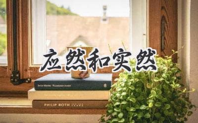 理想与现实：探寻认知的两种视角