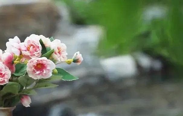 《道德经》：大智若愚，大巧若拙