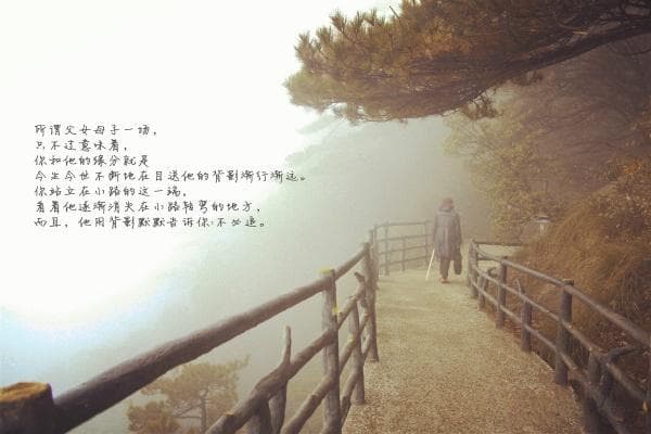 龙应台：修行的路总是孤独的，因为智慧必然来自孤独