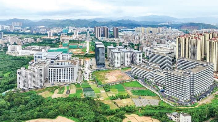 惠阳三和：构建商会“连心桥” 共画发展“同心圆”