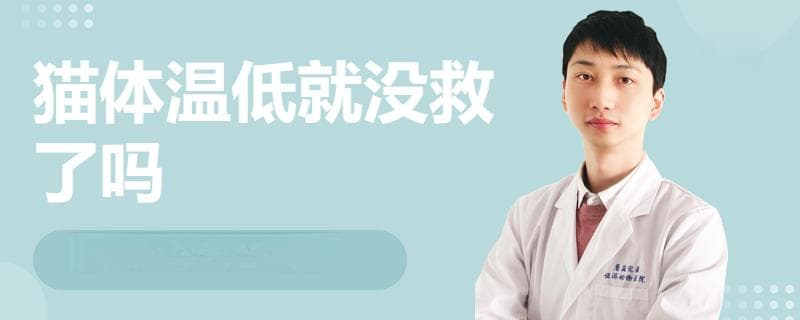 猫体温低就没救了吗