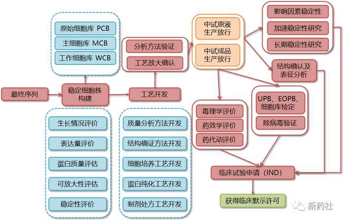 新药研发到上市全流程（后附流程图）